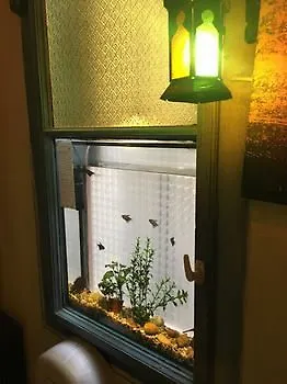 薰衣草马戏团双人和套间旅舍 * 布达佩斯